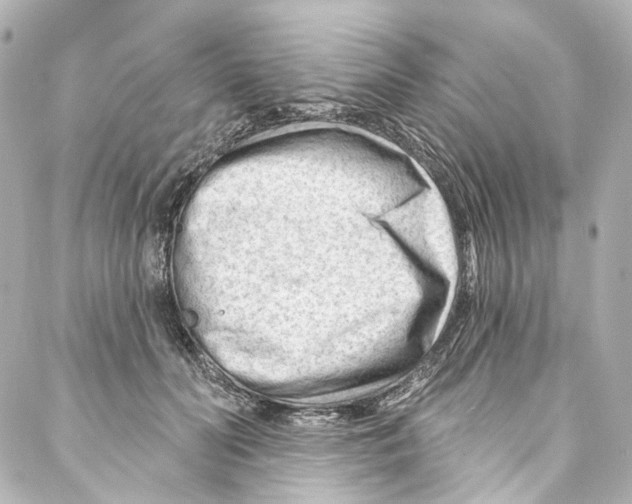 X0000087030606200705141924