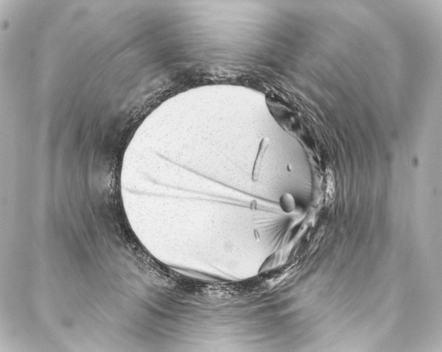 X0000087030608200705141924