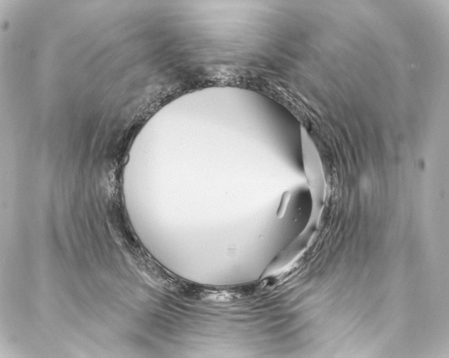 X0000087030611200705141924