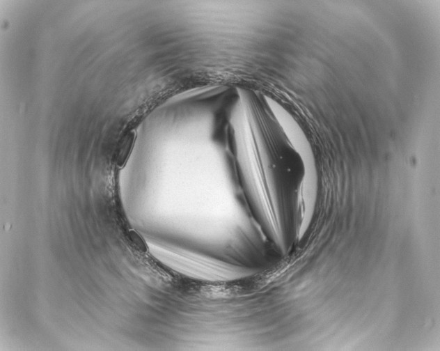 X0000087030613200705141924