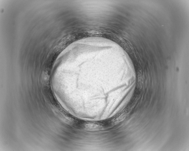 X0000087030614200705141924