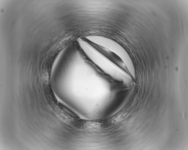 X0000087030617200705141924