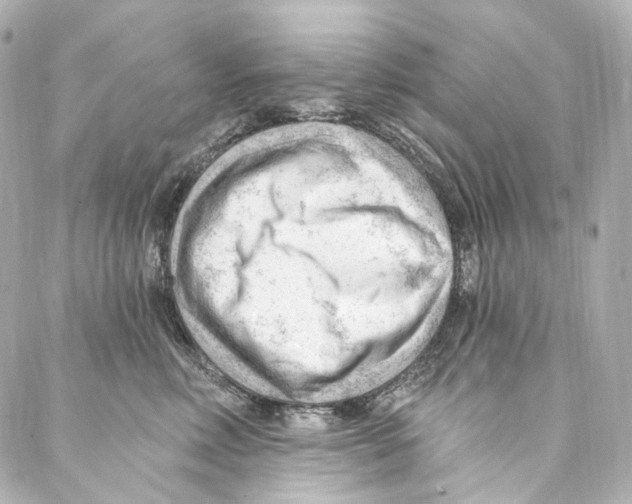 X0000087030618200705141924