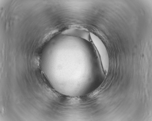 X0000087030621200705141923