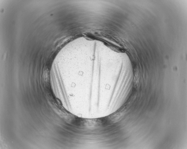 X0000087030623200705141923