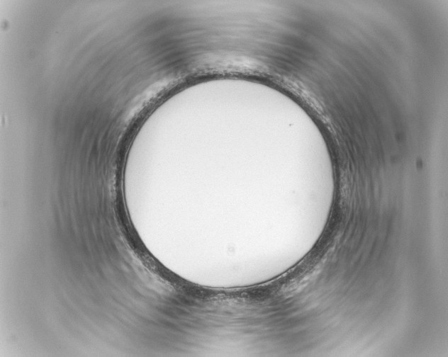 X0000087030629200705141923