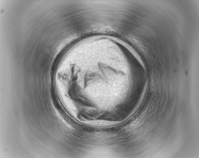 X0000087030630200705141923