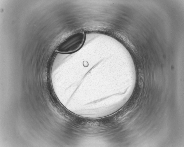 X0000087030631200705141923