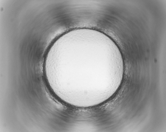 X0000087030632200705141923