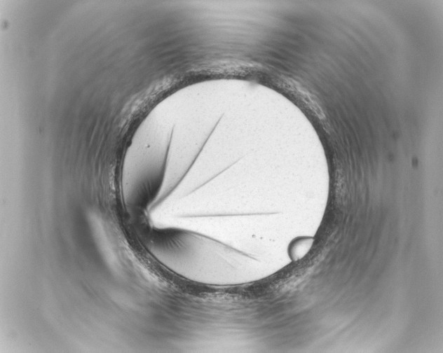 X0000087030633200705141923