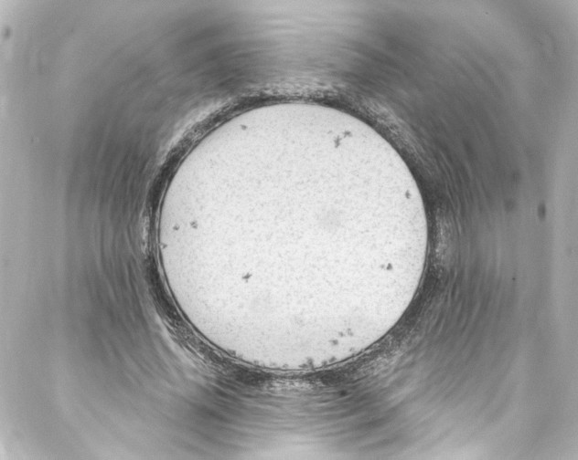 X0000087030636200705141923