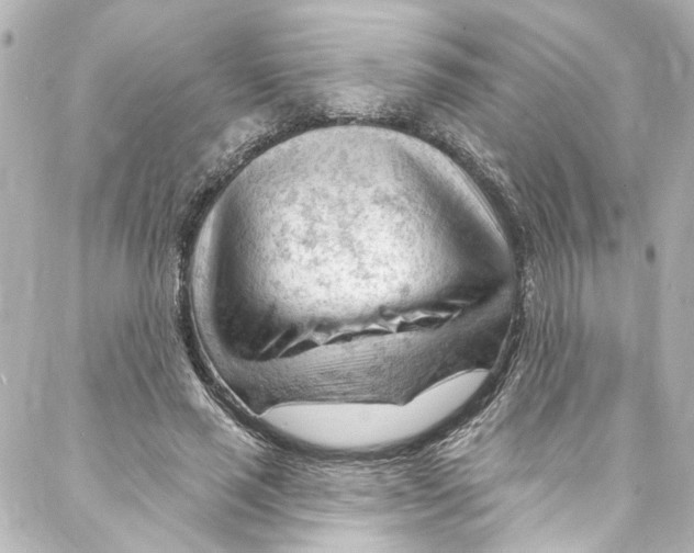 X0000087030637200705141923