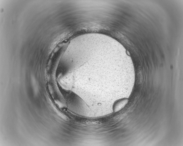 X0000087030638200705141923