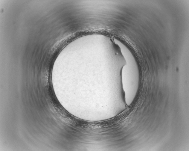 X0000087030640200705141923