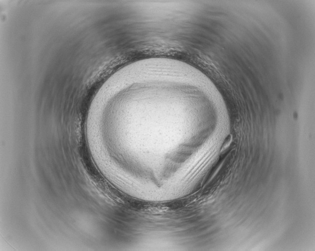 X0000087030642200705141923