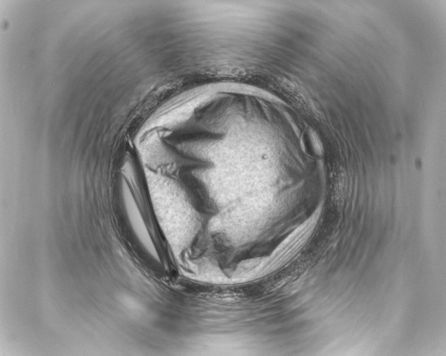 X0000087030643200705141923