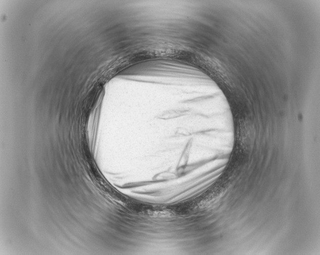 X0000087030645200705141923