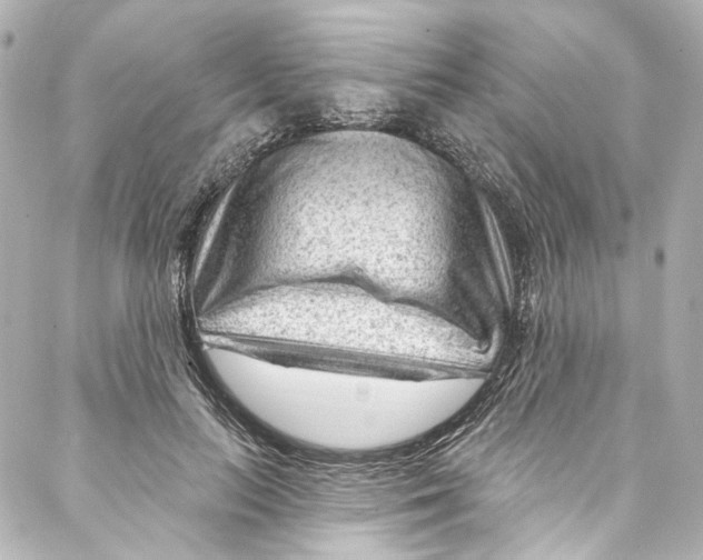 X0000087030647200705141923