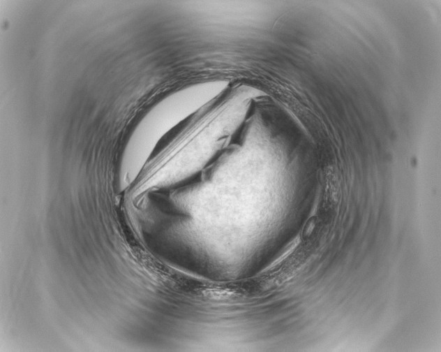 X0000087030650200705141923