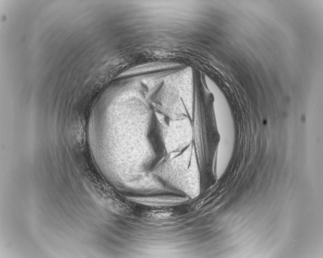 X0000087030651200705141923