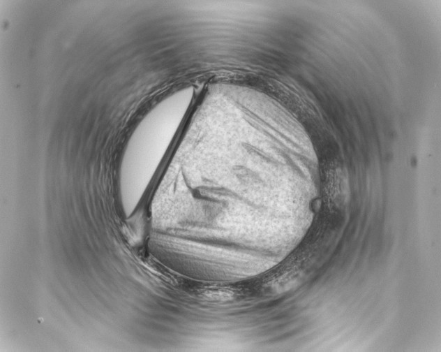 X0000087030653200705141923