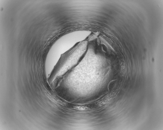 X0000087030654200705141923