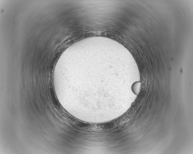 X0000087030656200705141923