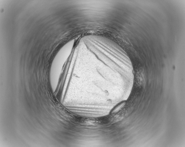 X0000087030657200705141923