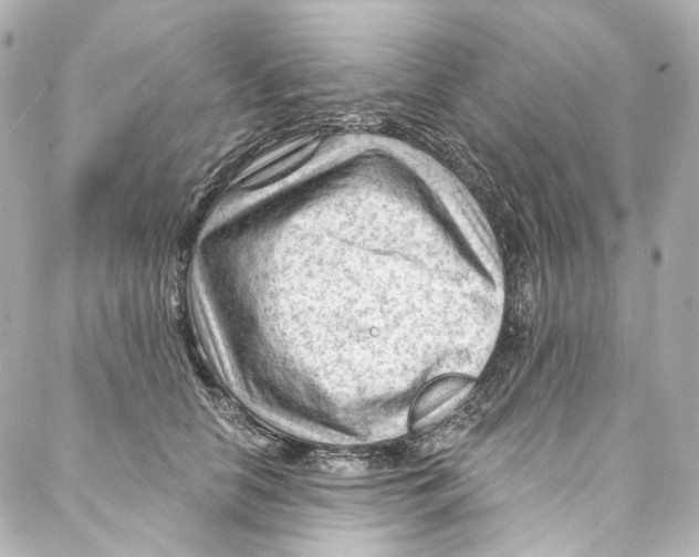 X0000087030658200705141923