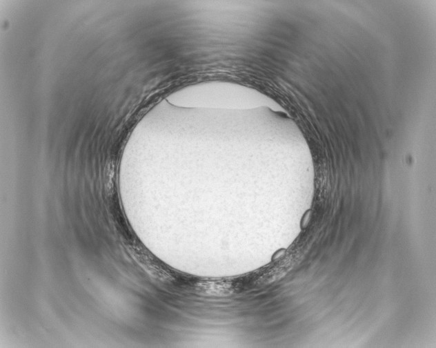 X0000087030660200705141923