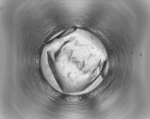 X0000087030661200705141923