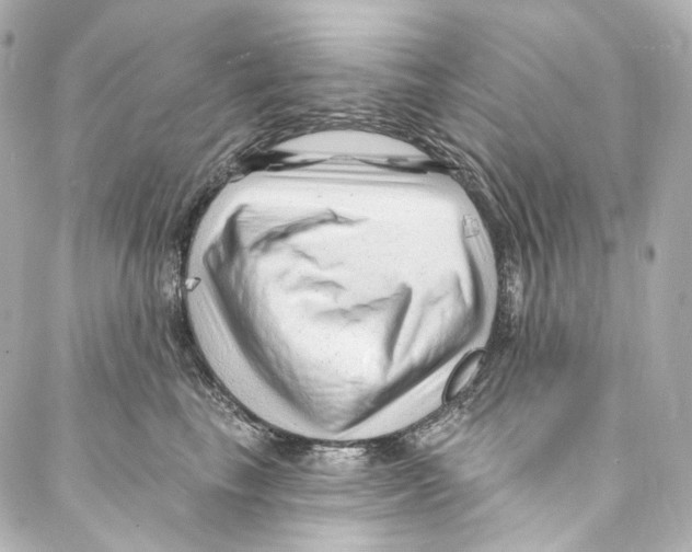 X0000087030665200705141923