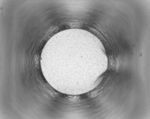 X0000087030667200705141923