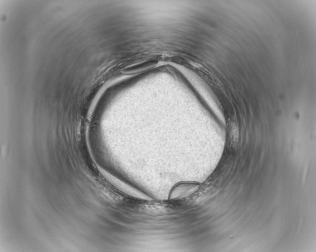 X0000087030668200705141923