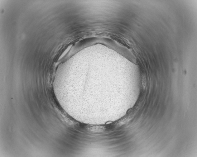 X0000087030670200705141923