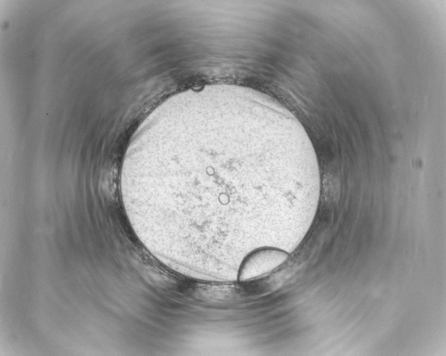 X0000087030671200705141923