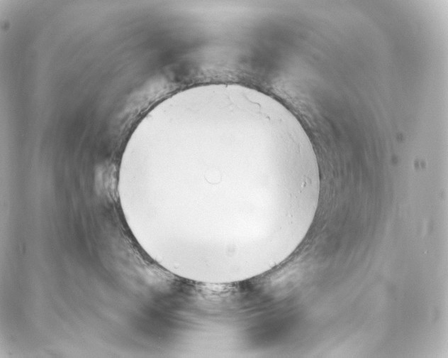 X0000087030672200705141923