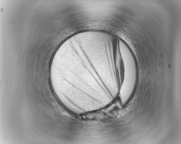 X0000087030673200705141923