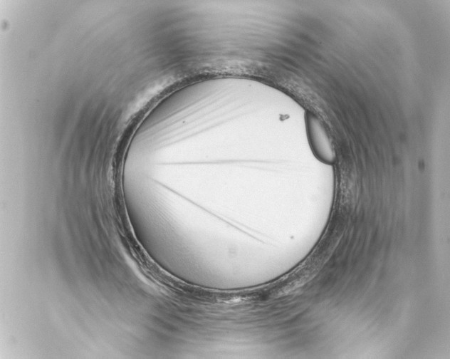 X0000087030674200705141923