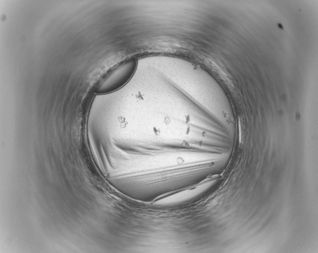 X0000087030675200705141923