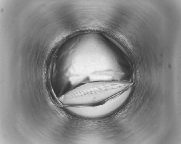 X0000087030680200705141923