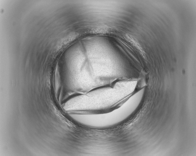 X0000087030681200705141923