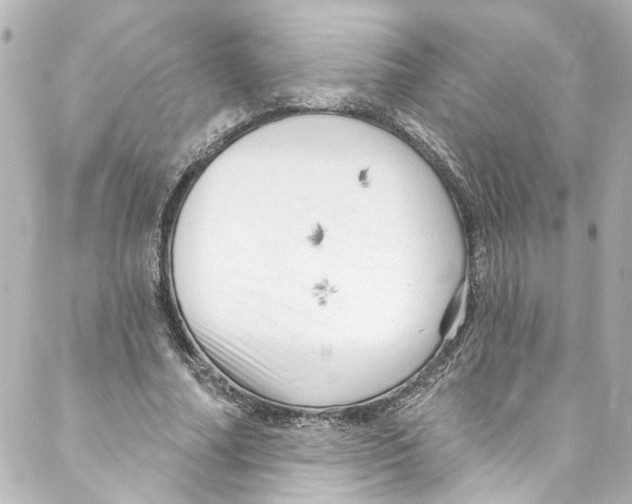 X0000087030682200705141922