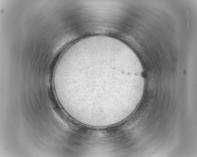 X0000087030683200705141922