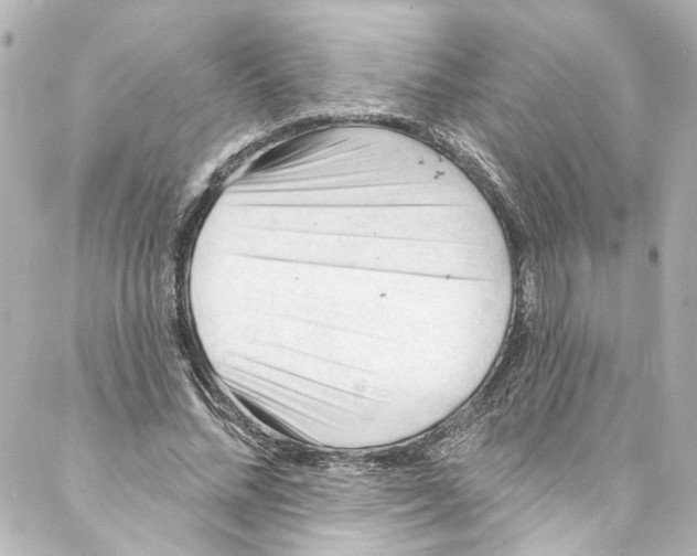 X0000087030684200705141922