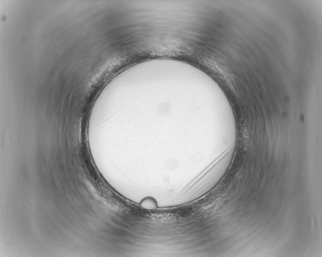 X0000087030686200705141922