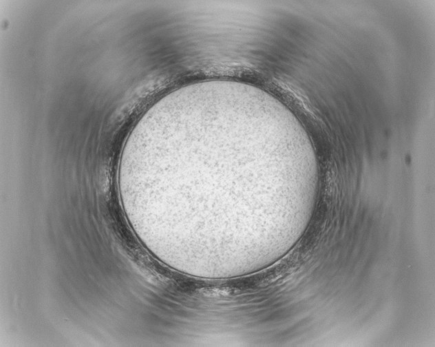 X0000087030687200705141922