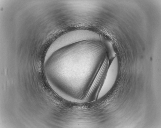 X0000087030689200705141922