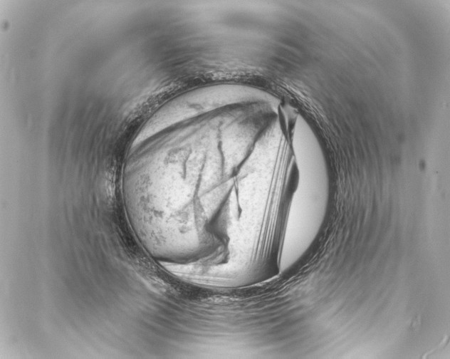 X0000087030691200705141922