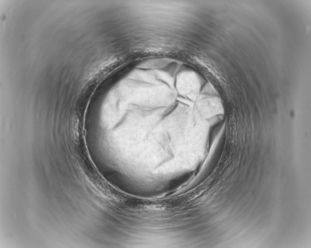 X0000087030692200705141922